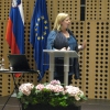 Mednarodna konferenca 